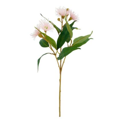 productHero-SPOTWF-BP80653794-pink