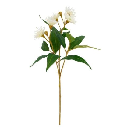 productHero-SPOTWF-BP80653794-white