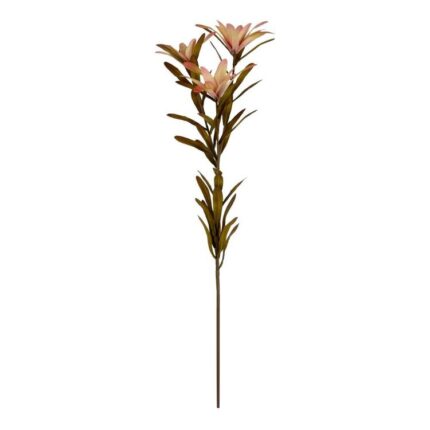 productHero-SPOTWF-BP80653797-pink