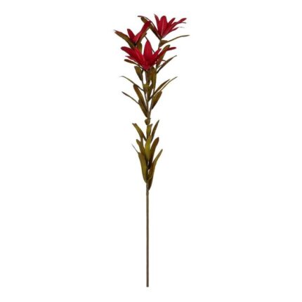productHero-SPOTWF-BP80653797-red