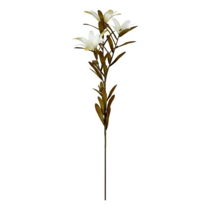 productHero-SPOTWF-BP80653797-white
