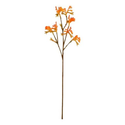 productHero-SPOTWF-BP80653807-orange