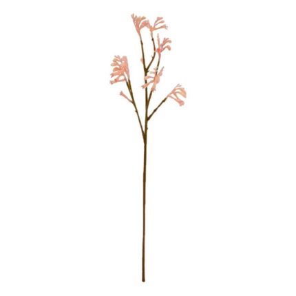 productHero-SPOTWF-BP80653807-pink