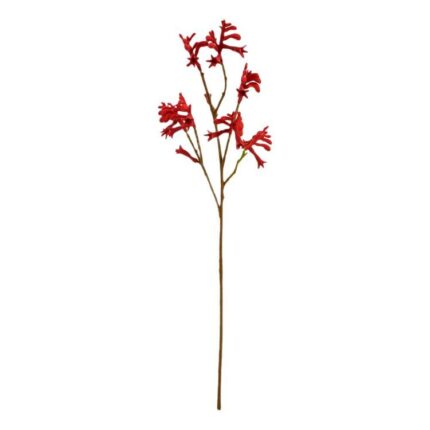 productHero-SPOTWF-BP80653807-red