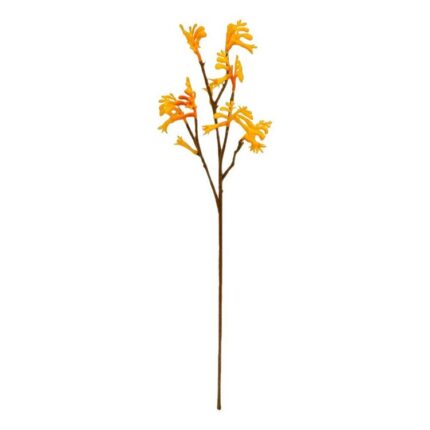 productHero-SPOTWF-BP80653807-yellow