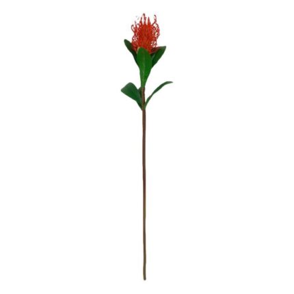 productHero-SPOTWF-BP80653812-red