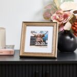 productHero-SPOTWF-BP80653863-walnut-4