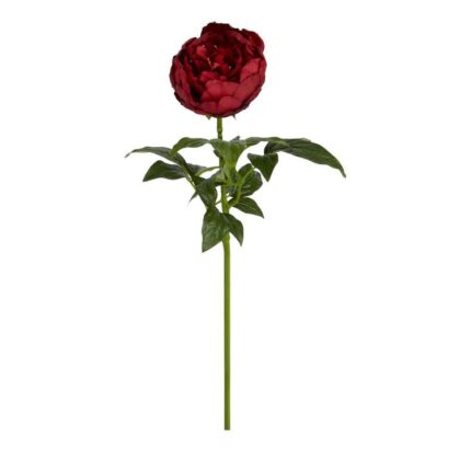 productHero-SPOTWF-BP80654477-burgundy