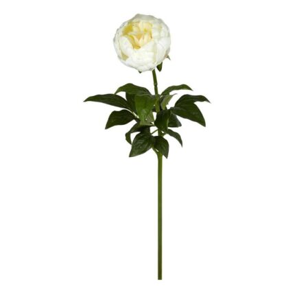 productHero-SPOTWF-BP80654477-cream