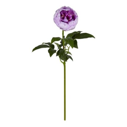 productHero-SPOTWF-BP80654477-lavender
