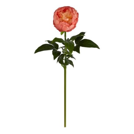 productHero-SPOTWF-BP80654477-peach