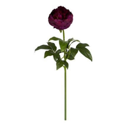 productHero-SPOTWF-BP80654477-purple