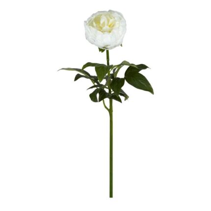 productHero-SPOTWF-BP80654477-white