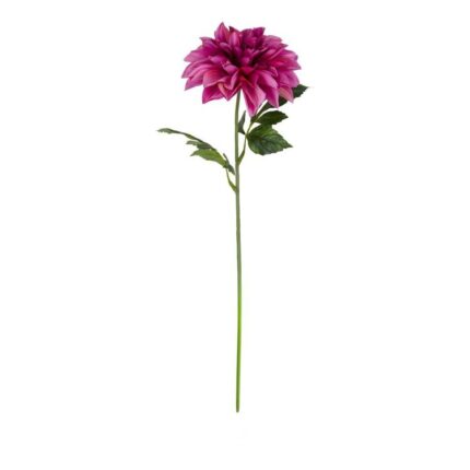 productHero-SPOTWF-BP80654503-mauve