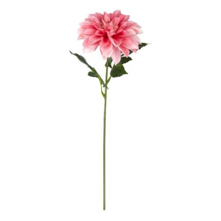 productHero-SPOTWF-BP80654503-pink
