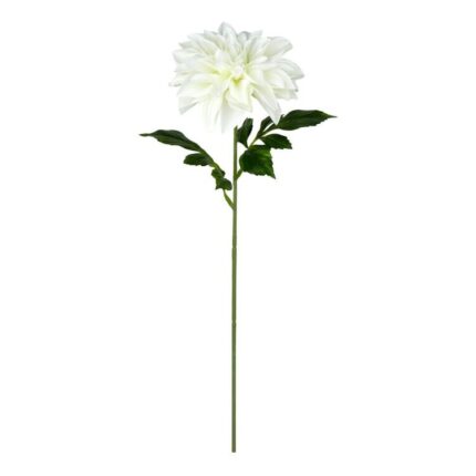 productHero-SPOTWF-BP80654503-white