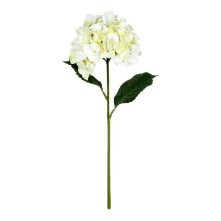 productHero-SPOTWF-BP80654508-cream