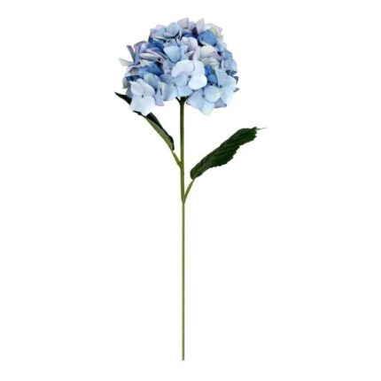 productHero-SPOTWF-BP80654508-light-blue