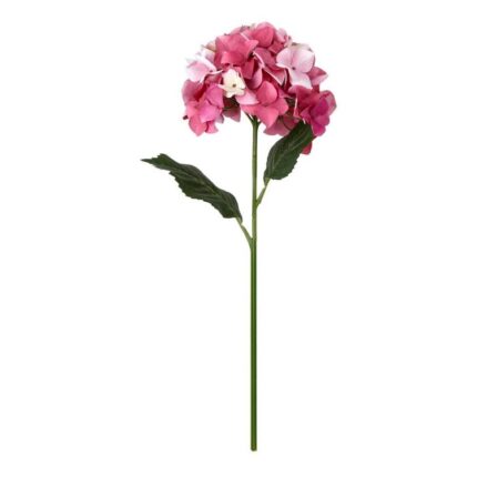 productHero-SPOTWF-BP80654508-pink