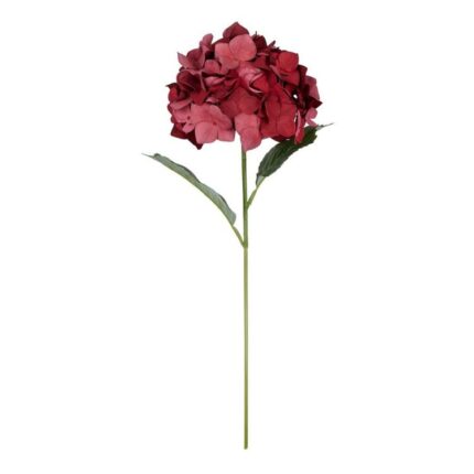 productHero-SPOTWF-BP80654508-red