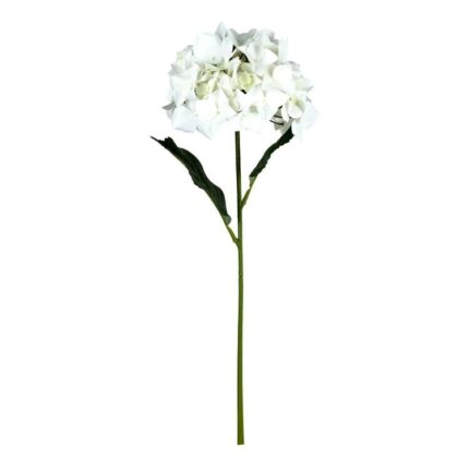 productHero-SPOTWF-BP80654508-white