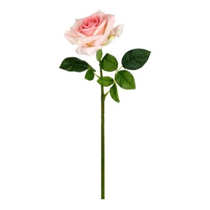 productHero-SPOTWF-BP80654514-pink