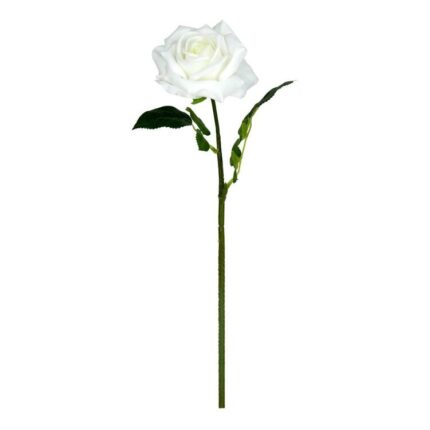 productHero-SPOTWF-BP80654514-white
