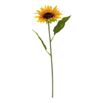 productHero-SPOTWF-BP80654520-orange