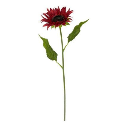 productHero-SPOTWF-BP80654520-red