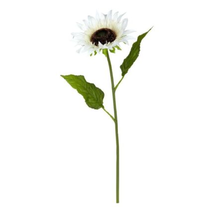 productHero-SPOTWF-BP80654520-white