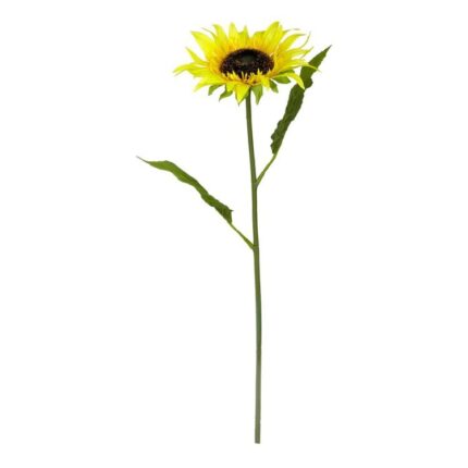 productHero-SPOTWF-BP80654520-yellow