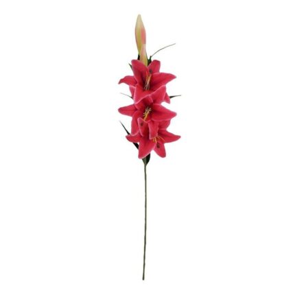 productHero-SPOTWF-BP80654524-blush