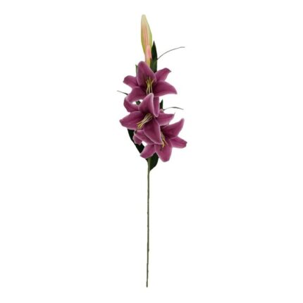 productHero-SPOTWF-BP80654524-fuchsia