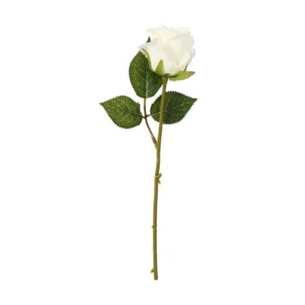 productHero-SPOTWF-BP80654540-white