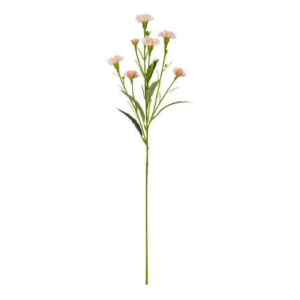 productHero-SPOTWF-BP80654784-pale-blush