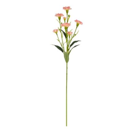 productHero-SPOTWF-BP80654784-peach