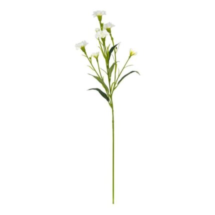 productHero-SPOTWF-BP80654784-white
