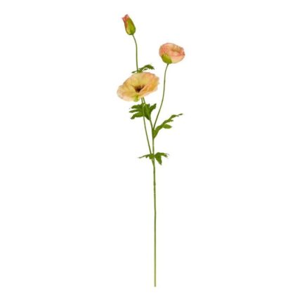 productHero-SPOTWF-BP80654789-orange