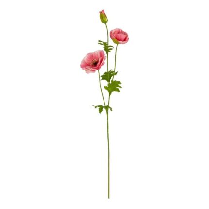 productHero-SPOTWF-BP80654789-pink