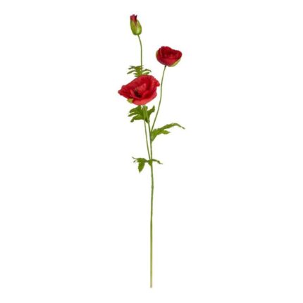 productHero-SPOTWF-BP80654789-red