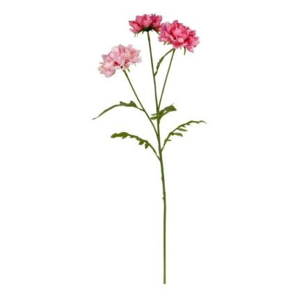 productHero-SPOTWF-BP80654834-pink