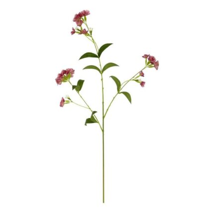 productHero-SPOTWF-BP80654838-blush
