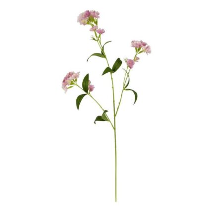 productHero-SPOTWF-BP80654838-pink