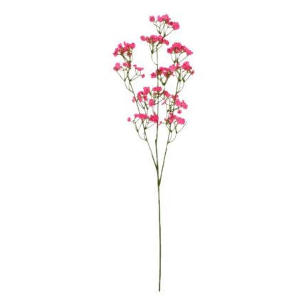 productHero-SPOTWF-BP80654854-pink