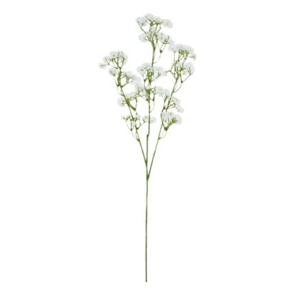 productHero-SPOTWF-BP80654854-white