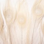 productHero-SPOTWF-BP80655402-cream-3