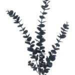 productHero-SPOTWF-BP80655544-blue-3