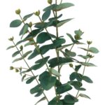 productHero-SPOTWF-BP80655557-blue-3