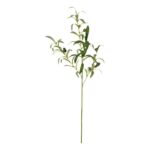 productHero-SPOTWF-BP80655559-green