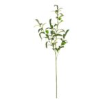 productHero-SPOTWF-BP80655559-green-2